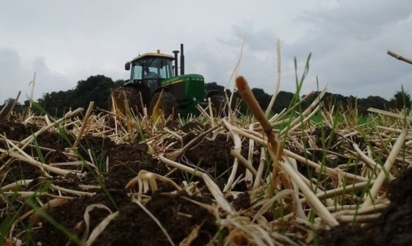 Tractor cultivating barley stubble